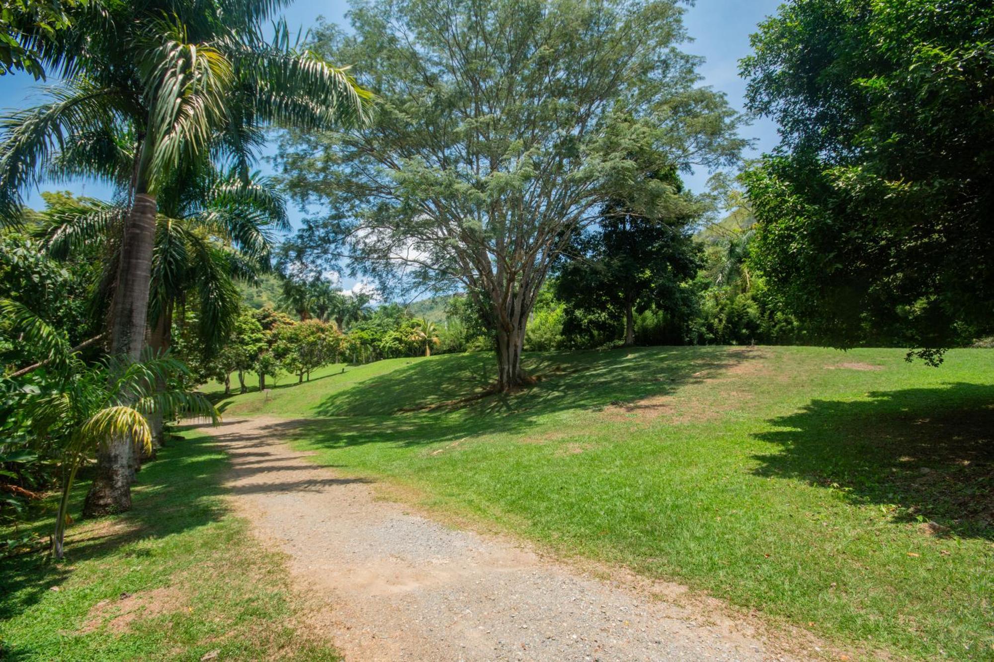 La Selva Hotel San Jeronimo Экстерьер фото